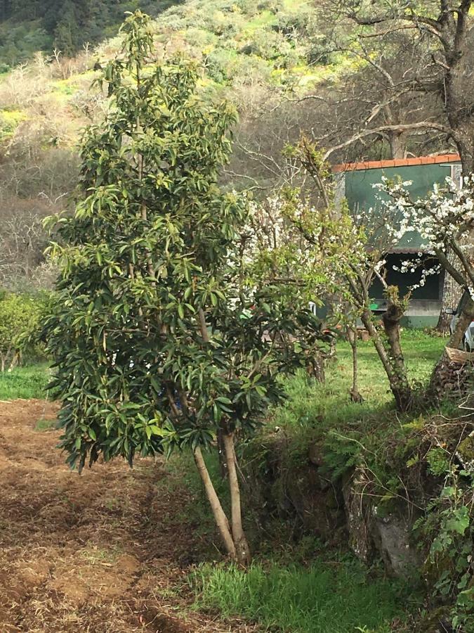 Villa Rafael 베가데산마테오 외부 사진